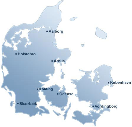 afdelinger rsm plus revision